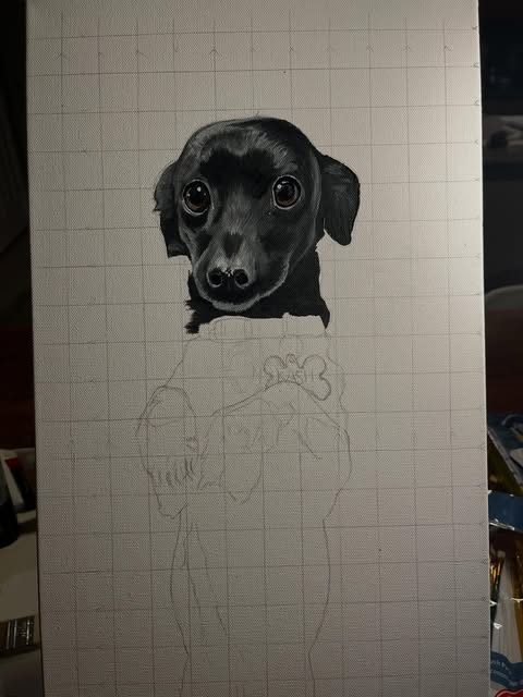 Chihuahua portrait in progress on gridded paper